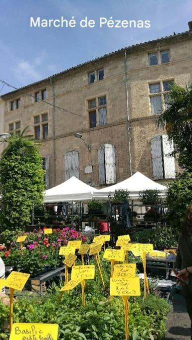 Le Clos Roby Maison Avec Piscine Proche Du Centre Historique Pézenas Buitenkant foto