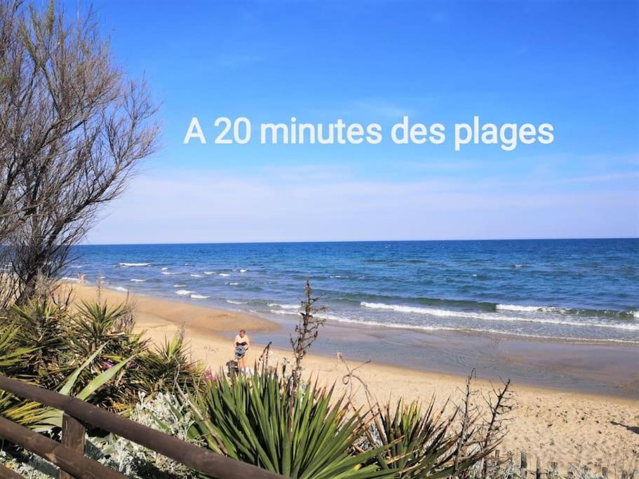 Le Clos Roby Maison Avec Piscine Proche Du Centre Historique Pézenas Buitenkant foto